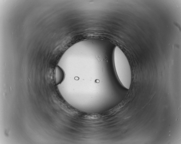 X0000103290567200808291110