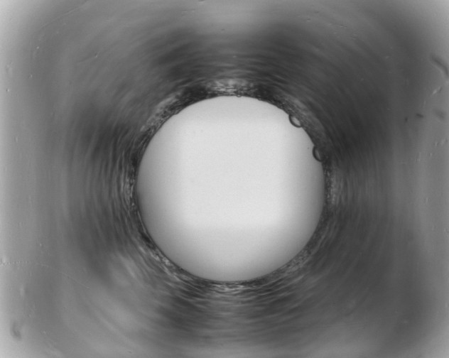 X0000103290569200808291110