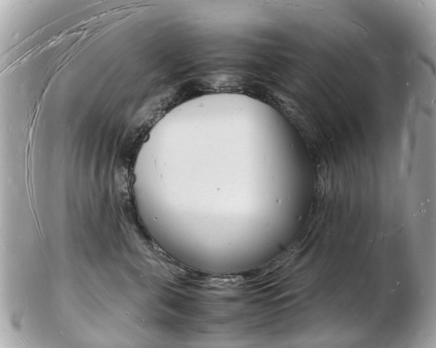 X0000103290571200808291111