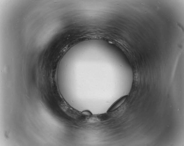 X0000103290572200808291111