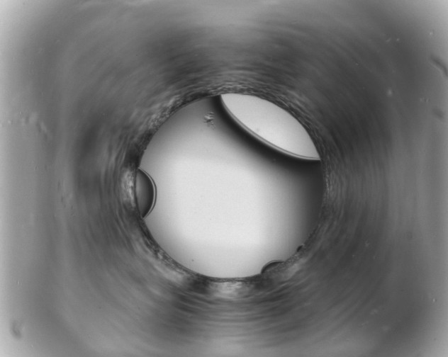 X0000103290575200808291111