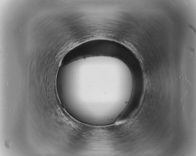 X0000103290577200808291110