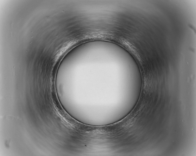 X0000103290578200808291110