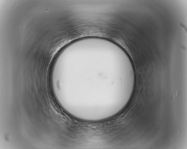 X0000103290579200808291110
