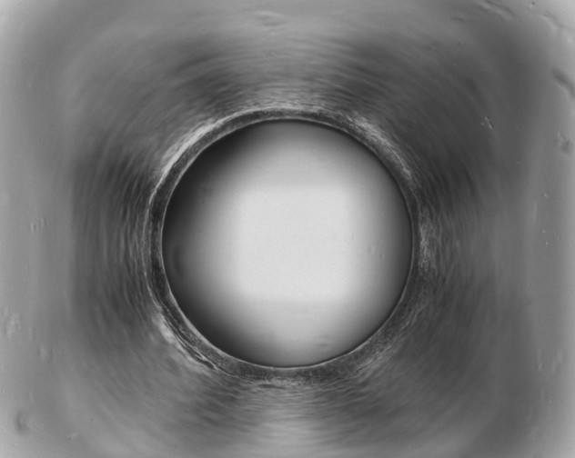 X0000103290580200808291110