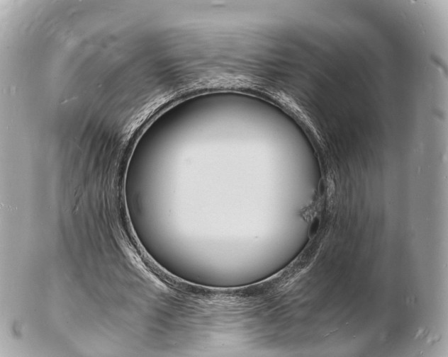 X0000103290581200808291110