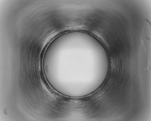 X0000103290582200808291110