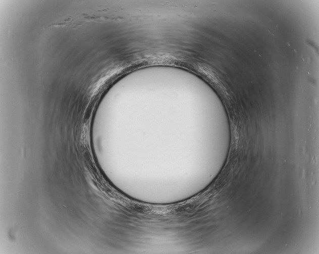 X0000103290583200808291110