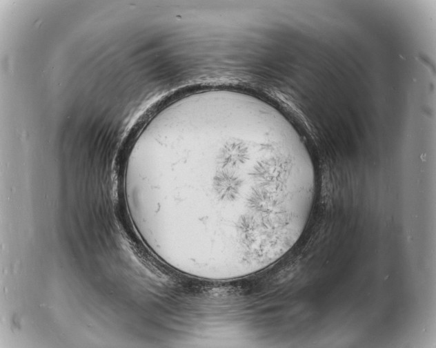 X0000103290584200808291110