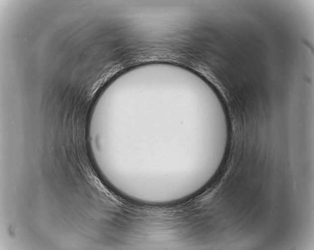 X0000103290585200808291110