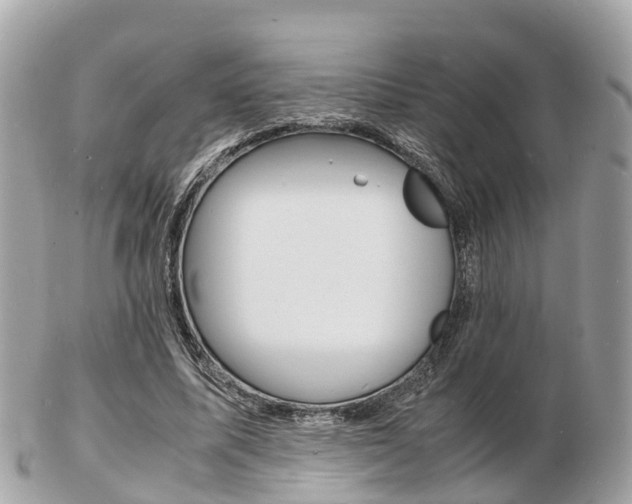 X0000103290587200808291110