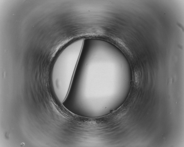 X0000103290588200808291110