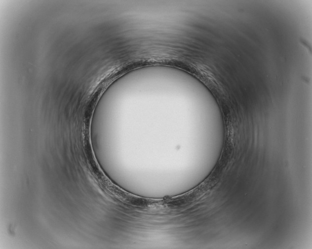 X0000103290591200808291110