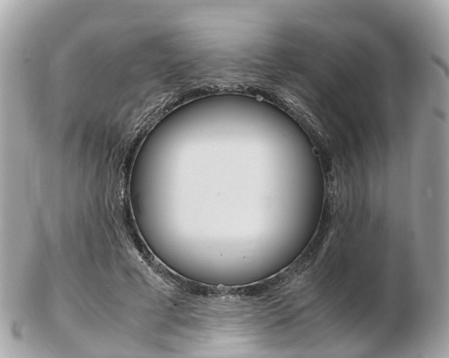 X0000103290593200808291110