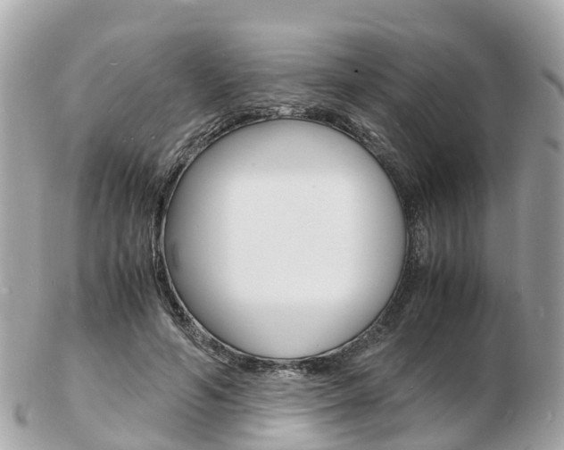 X0000103290594200808291110