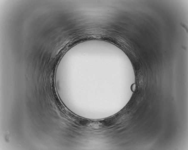 X0000103290595200808291109