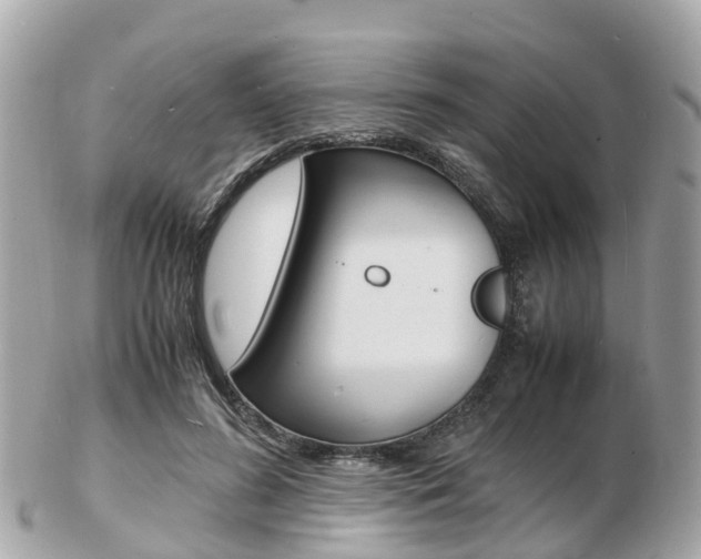 X0000103290596200808291109