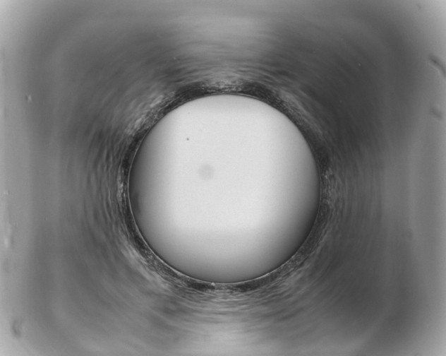 X0000103290597200808291109