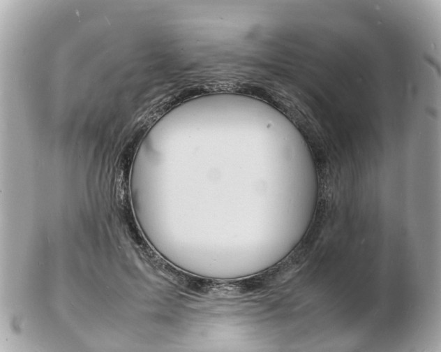 X0000103290599200808291109