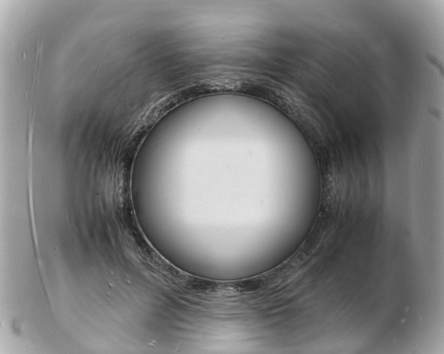 X0000103290600200808291109