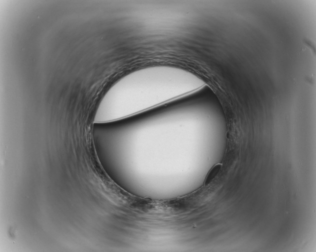 X0000103290601200808291109