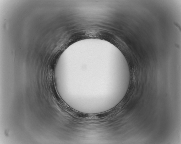 X0000103290603200808291109