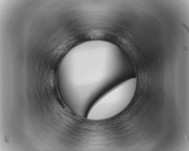 X0000103290604200808291109
