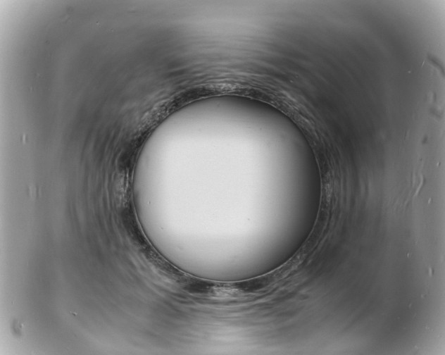 X0000103290605200808291109