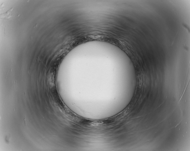 X0000103290606200808291109