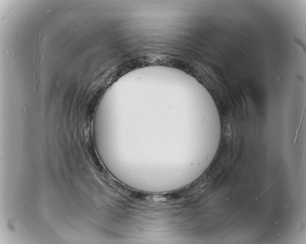 X0000103290607200808291109