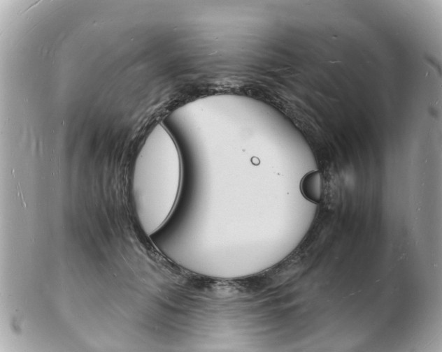 X0000103290608200808291109