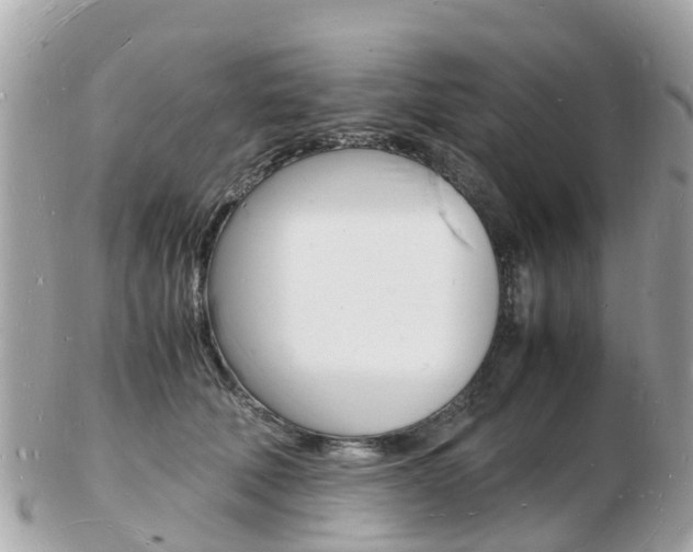 X0000103290610200808291109
