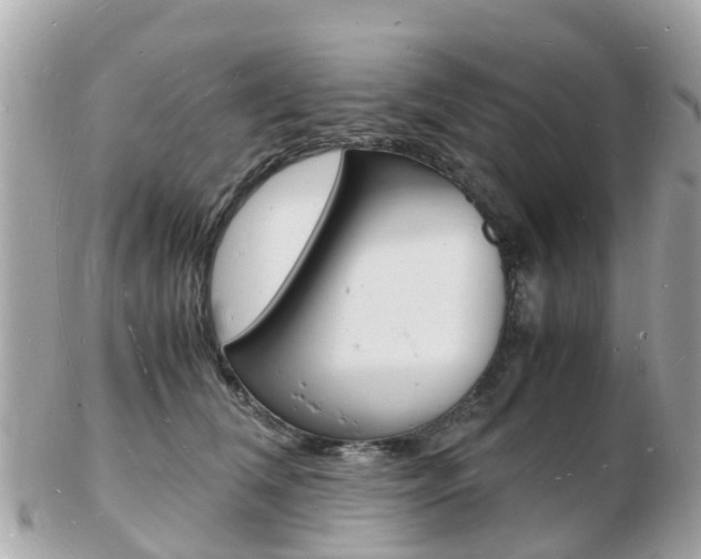 X0000103290612200808291109