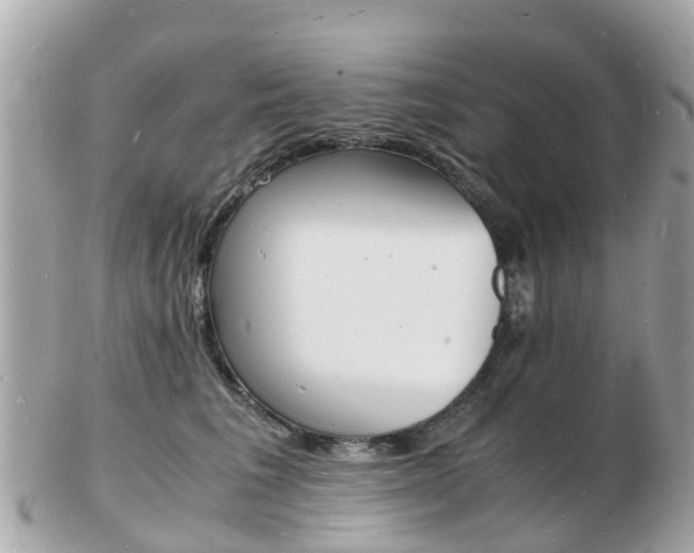 X0000103290613200808291109