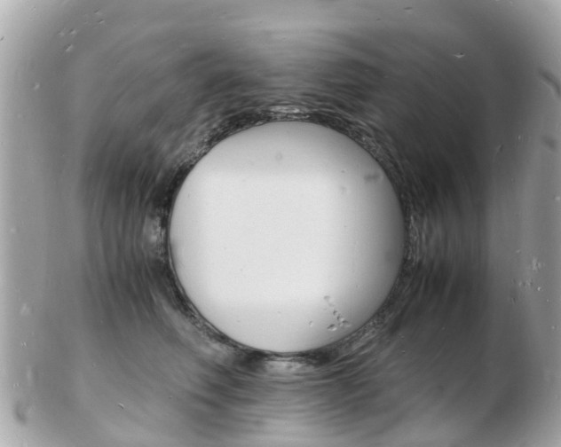 X0000103290614200808291109