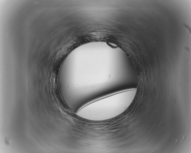 X0000103290615200808291109