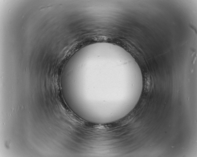 X0000103290616200808291109