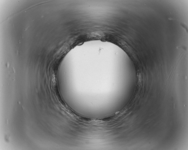 X0000103290617200808291109