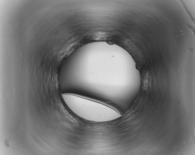 X0000103290620200808291109