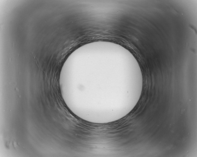 X0000103290621200808291109