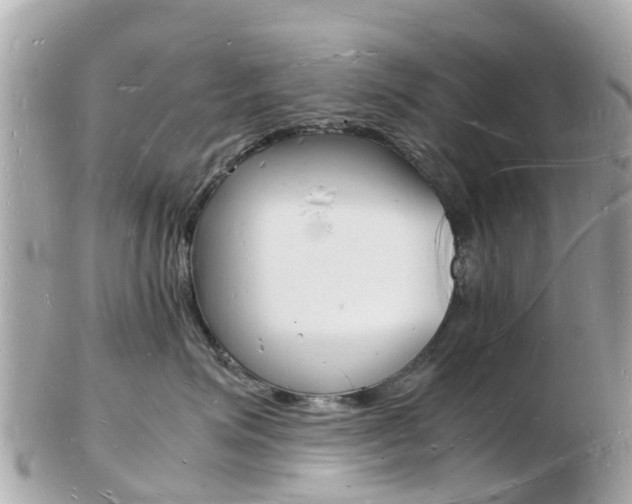 X0000103290623200808291109