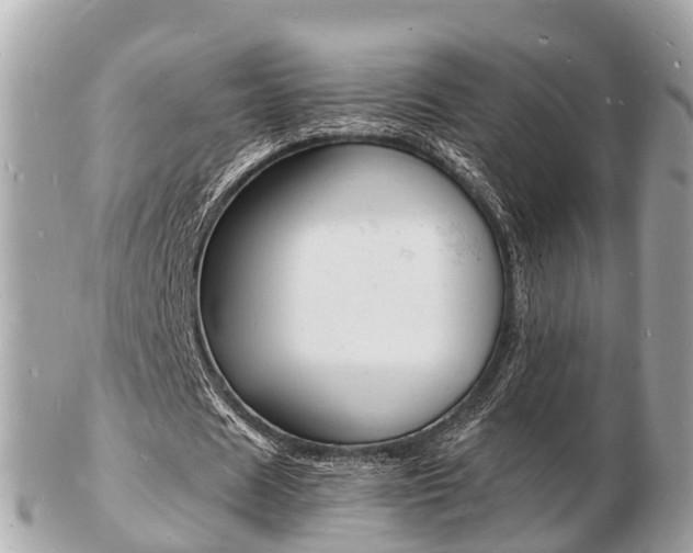 X0000103290625200808291108