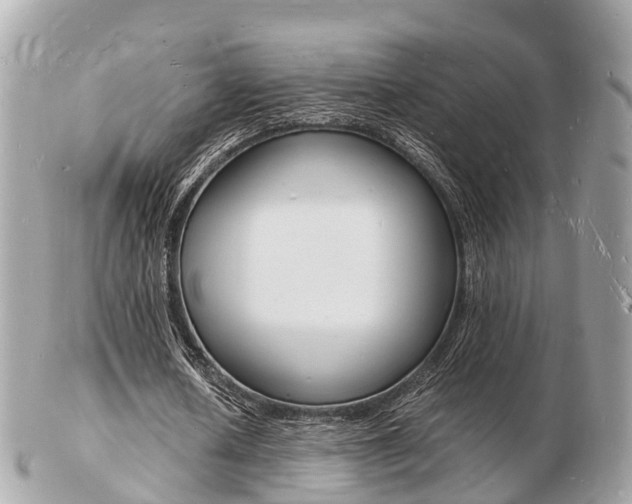 X0000103290626200808291108