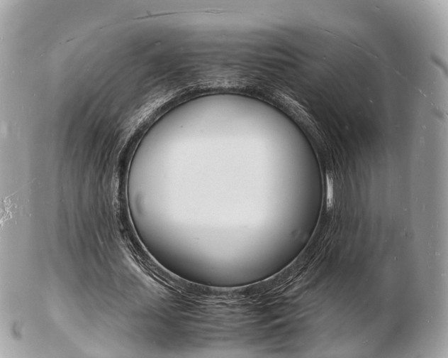 X0000103290627200808291108
