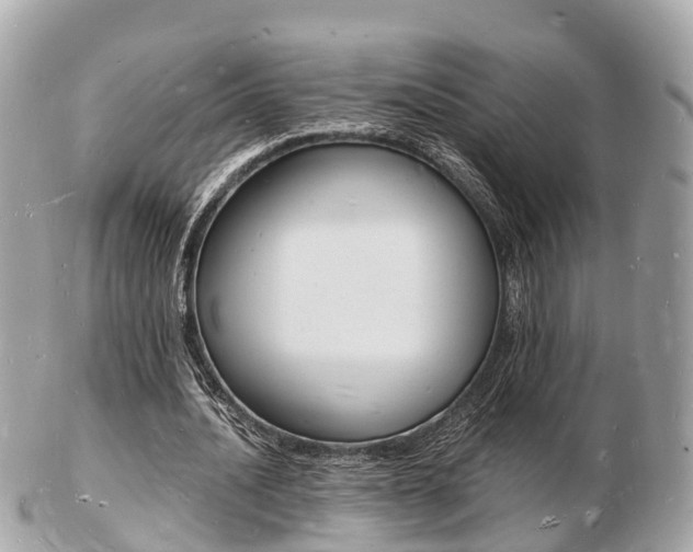 X0000103290628200808291108