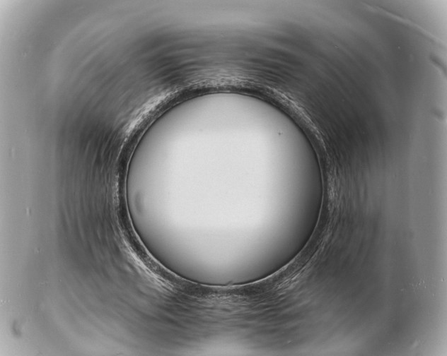 X0000103290629200808291108