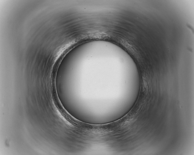X0000103290630200808291109