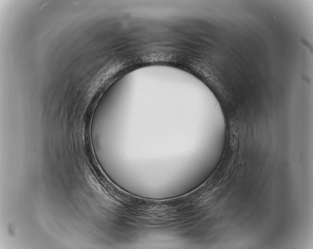 X0000103290631200808291109