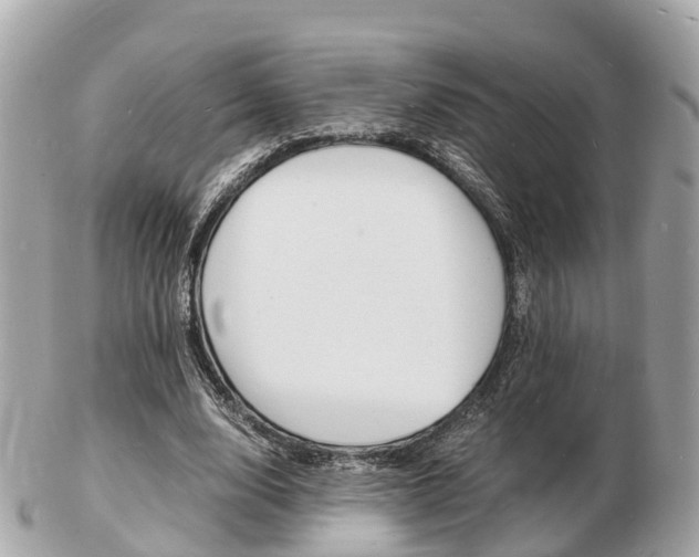 X0000103290632200808291109