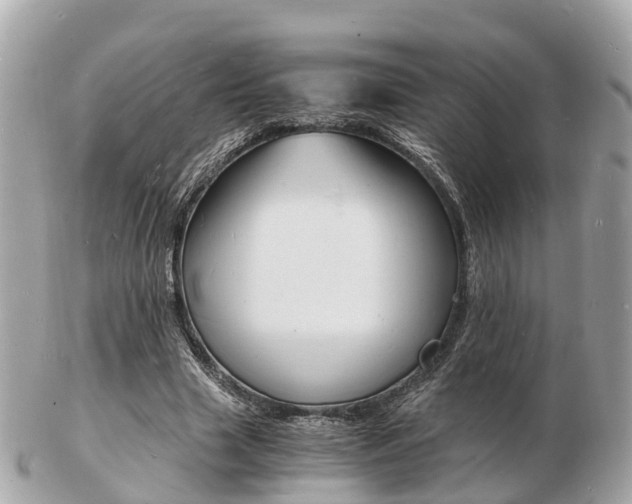 X0000103290633200808291109